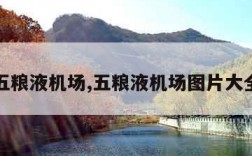 五粮液机场,五粮液机场图片大全